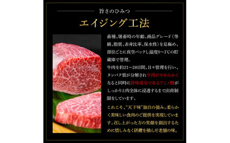 土佐あかうし＆土佐和牛2種食べ比べ 特選ヒレ肉サイコロステーキ500g 計4P 田野屋銀象完全天日塩4P付 牛肉 肉 お肉 和牛 国産 牛 赤身 ヒレ カルビ ロース【株式会社LATERAL】 [BQAU079]