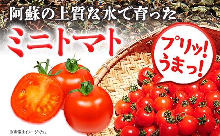 ぷりうまミニトマト 1.2kg (200g × 6袋) 破損保証約100g含む トマト ミニトマト 野菜 GTOファーム 熊本県 南阿蘇村《2026年7月上旬-10月末頃出荷》