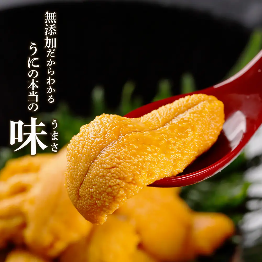 2026年発送予約 ☆北海道産☆塩水キタムラサキウニ 贅沢100g×5パックセット【マルタカ高橋商店】