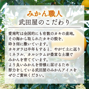 河内晩柑 フローズン ゼリー 12個 ゼリー 武田屋