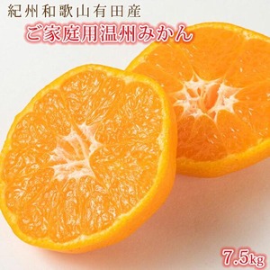 〈定期便〉【10・11・12月 全3回】和歌山産 みかんと柿のお楽しみ 定期便 【ご家庭用】【魚鶴】◇｜ﾌﾙｰﾂ 