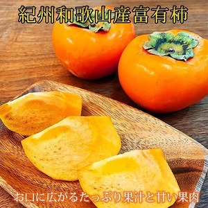 〈定期便〉【10・11・12月 全3回】和歌山人気のフルーツ定期便（柿・みかん）【魚鶴厳選】｜ﾌﾙｰﾂ 