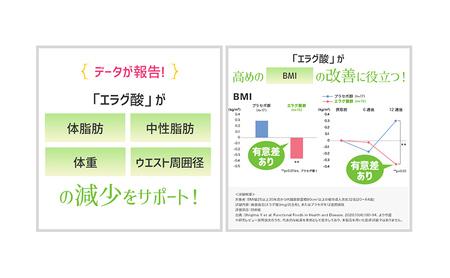 DHCウエスト気になる 30日分【機能性表示食品】 6個セット（180日分） 