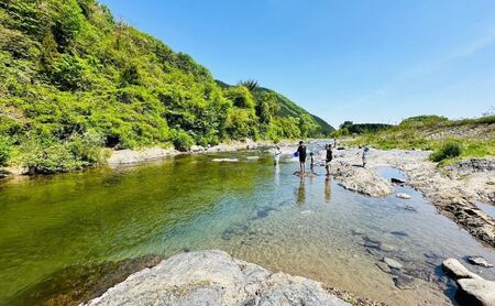 チケット キャンプ REDROCKキャンプ場 施設利用券 5,000円分 クーポン 商品券 キャンプ場 アウトドア 鹿沼市 日帰り 宿泊 バーベキュー BBQ 自然 入場券 優待券 体験チケット 