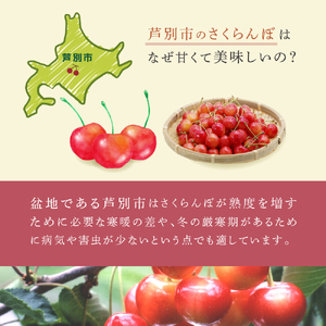 【 先行受付 】さくらんぼ サミット 1kg 500g×2パック 農林水産大臣賞 受賞 サクランボ チェリー 果物 果物類 フルーツ デザート 大粒 肉質 希少 北海道 芦別市