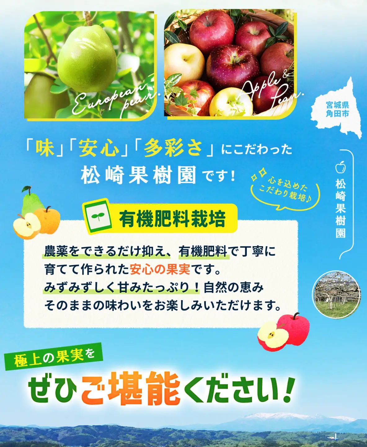 【2026年発送／先行予約】梨「幸水」約4kg（8～10玉入）【松崎果樹園】