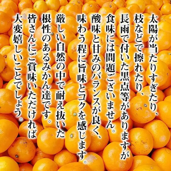 みかん とにかく小玉 箱込 10kg ( 内容量約 9.2kg ) 2Sサイズ以下 秀品 優品 混合 有田みかん 和歌山県産 産地直送 家庭用 ［2026年11月中旬頃より順次出荷予定］［みかんの会］　