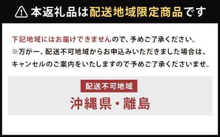 観葉植物のようなアレンジ 1個 ドライフラワー 植物 観葉植物 花 オシャレ インテリア 《90日以内に出荷予定(土日祝除く)》