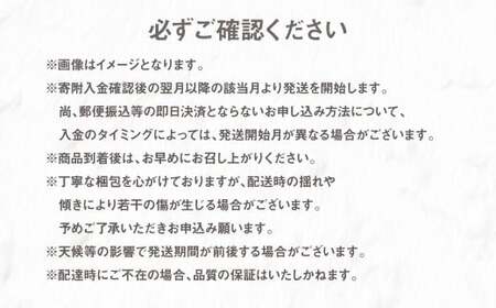 【年3回定期便】熊本の果樹園より産地直送！くまもとのイチオシフルーツ定期便 不知火 梨 みかん 果物 くだもの フルーツ 柑橘 果実 蜜柑 なし 熊本県産 国産