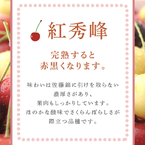 【 先行受付 】さくらんぼ 紅秀峰 2kg 500g×4パック 大橋さくらんぼ園 農林水産大臣賞 受賞 サクランボ チェリー 果物 果物類 フルーツ デザート 甘味 濃厚 人気 厳選 最高級 こだわり 逸品 大粒 北海道 芦別市 