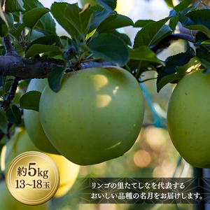 ぐんま名月（約5kg、優13～18玉）　