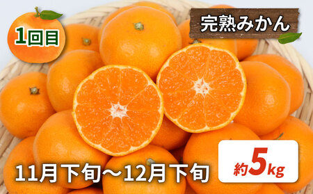 みかん定期便 訳あり 柑橘定期便 全3回 杉本屋 先行予約 わけあり 完熟みかん 柑橘 みかん ポンカン 不知火 完熟 温州みかん mikan 早生温州 温州 柑橘 蜜柑 産地直送 数量限定 国産 愛媛 宇和島 B030-143013