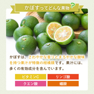 ＜先行予約受付中！2026年8月上旬以降順次発送予定＞かぼす(10kg)柑橘 かんきつ 大分県産直 期間限定【112600200】【ａｎｄＫ】