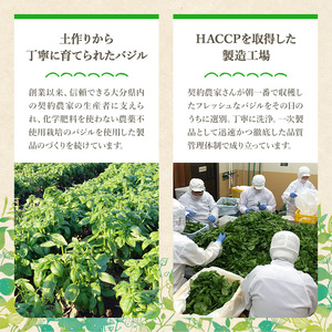 ファインド・ニューズ＜バジル&マスタード＞プレミアムセット(合計470g・6種)調味料 ソース バジル ジェノベーゼ マスタード バーニャカウダ セット【109300200】【ファインド・ニューズ】