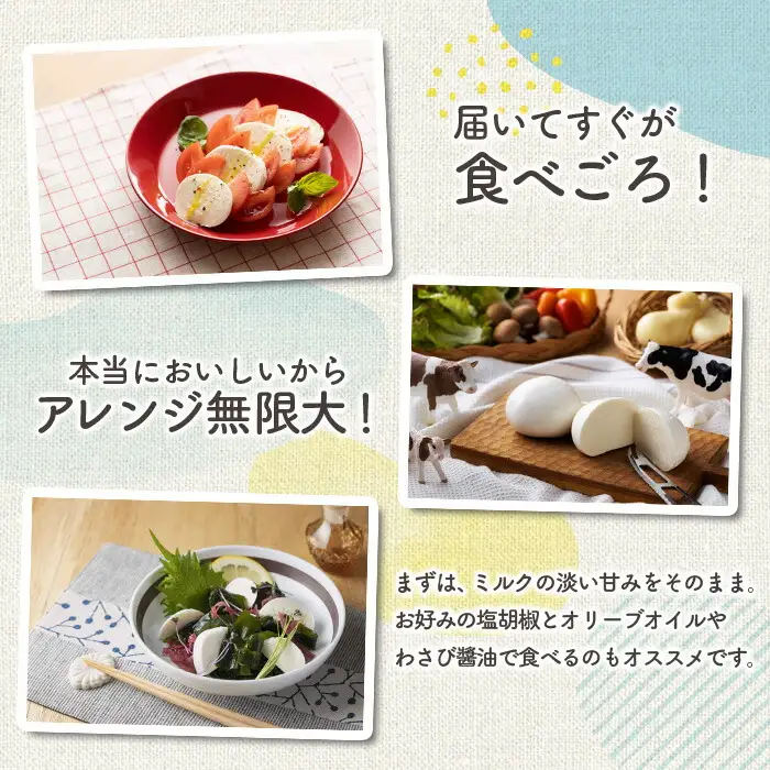 手作りモッツァレラチーズ ｜ モッツアレラチーズ 福島県 南相馬市