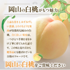 【2026年発送分 先行受付スタート！】【定期便】岡山県産　桃 約4kg・シャインマスカット 約5kg 計6回発送【桃 シャインマスカット】