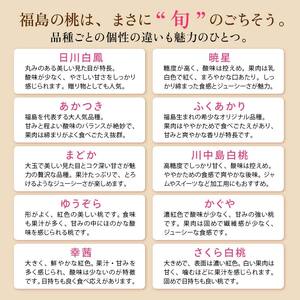 【2026年出荷分先行予約】福島県産 どれが届くかお楽しみ白桃 約1kg (3～6玉) 農業生産法人種まきうさぎ株式会社 旬の桃 伊達市産 伊達の桃 フルーツ 果物 もも モモ momo F20C-946
