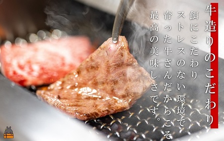 世界が絶賛した“とろける和牛”幻の石原牛 赤身・霜降り食べ比べ焼肉300g ( 鹿児島黒毛和牛 ブランド牛 牛肉 ビーフ こだわり プレミアム オメガ３脂肪酸 贈答 ギフト 徳之島 奄美 鹿児島 美味しい 赤身 霜降り 脂身 ステーキ 焼肉 BBQ 世界基準 石原PRO 決済後10日以内発送 )