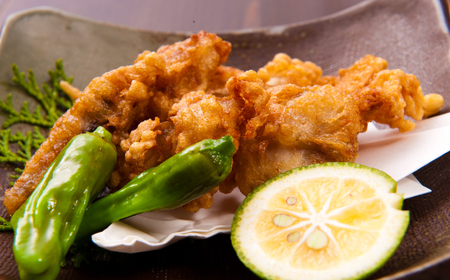 下関発！天然ふぐ刺身 5人前・ふぐ唐揚600g ～しものせき食彩工房～ ( ふぐ フグ まふぐ マフグ 刺身 さしみ 刺し身 唐揚げ からあげ カラアゲ ふぐ刺し フグ刺し ふぐ刺身 天然ふぐ 天然フグ 天然まふぐ ふぐ皮 本場下関 ）《食彩工房：HK9002》