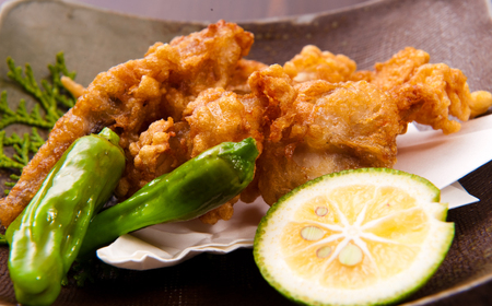 下関発！天然ふぐたたき刺身5人前・ふぐ唐揚600g ～しものせき食彩工房～ ( ふぐ フグ まふぐ マフグ たたき タタキ 唐揚げ からあげ カラアゲ ふぐ刺し フグ刺し ふぐ刺身 天然ふぐ 天然フグ 天然まふぐ ふぐ皮 本場下関 ）《食彩工房：HK9003》