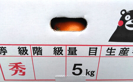 みかん 5kg サイズ2L～2S 蜜柑 ミカン フルーツ 果物 くだもの 柑橘 熊本産 九州産 【2026年10月下旬～2027年2月下旬発送予定】