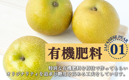 梨子本農園 の 梨 （ 二十世紀 ）約 3kg | フルーツ 果物 くだもの 梨 なし ナシ 奈良県 五條市 家庭用 自宅用 産地直送 農家直送 国産 人気 送料無料 甘い 酸味 ベスト グルメ お取り寄せ 10月 9月 順次発送 秋 旬 味覚 有機肥料 こだわり 安全 多汁 ジューシー シャリシャリ シャキシャキ みずみずしい 果肉 果実 おすすめ