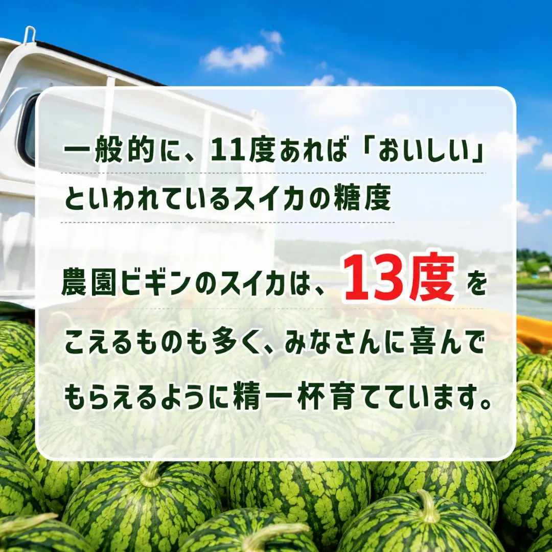 大玉スイカ 祭りばやし777 2玉 農園ビギン すいか