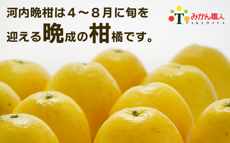 【訳あり】 みかん職人の河内晩柑 大玉 10kg 先行予約 河内晩柑 みかん職人武田屋