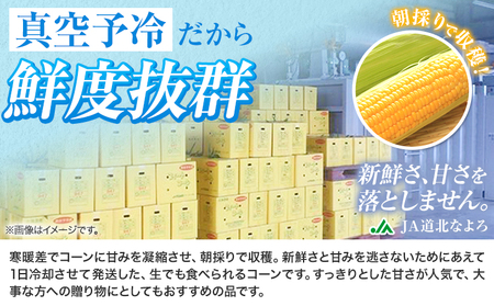 【2026年出荷】 北海道 名寄産 スイートコーン イエロー L～2Lサイズ 22本 《2026年8月中旬-9月中旬頃出荷予定》 