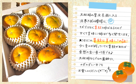 訳あり 太秋柿 約2kg | フルーツ 果物 くだもの 柿 かき カキ 熊本県 玉名市