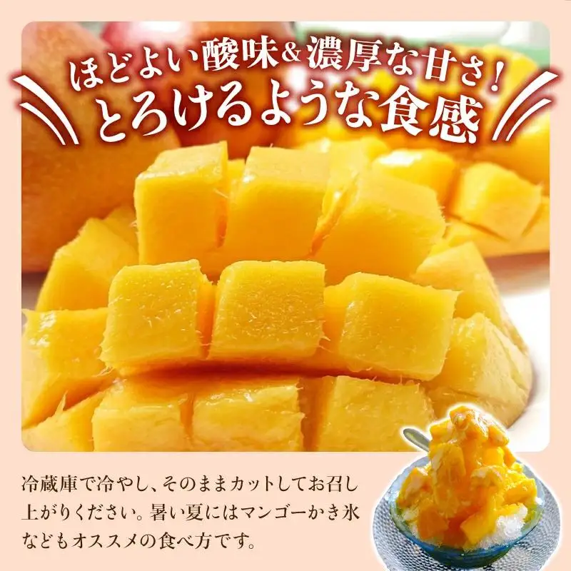 【訳あり】 アップルマンゴー 約1kg 2～4玉 