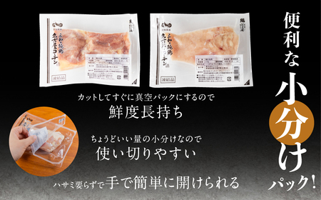 名古屋コーチン むね肉 110g×5袋 鶏肉 小分け 鶏肉