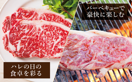 【鹿児島県産】黒毛和牛 サーロインステーキ 約500g （約170g×3枚） 牛肉 A4等級 ステーキ BBQ ギフト 贈答 冷凍 スターゼン