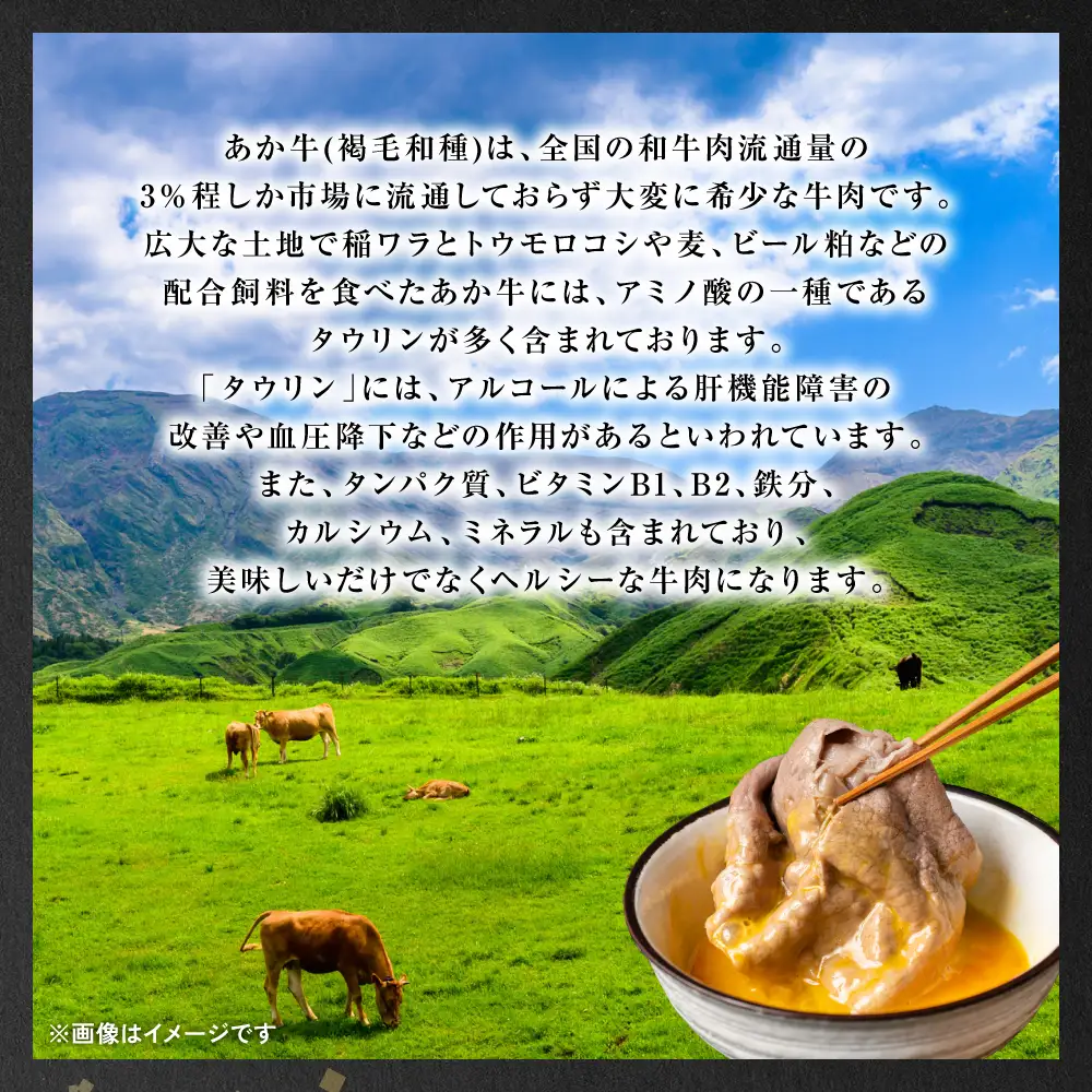 【GI認証】 くまもとあか牛 すき焼き用 500g お肉 牛 すき焼き 赤身 和牛 牛肉 和牛 褐毛和牛 国産 国産和牛 冷凍 