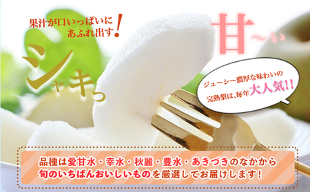 【先行予約】 訳あり 梨 荒尾梨 約 4.5kg ～ 5kg (6～18玉前後) 秋 旬 目野果実直売所《7月下旬-10月上旬頃出荷》熊本県 荒尾市産 なし フルーツ 果物 新鮮 愛甘水 幸水 秋麗 豊水 あきづき のいずれか 品種の指定不可 ご家庭用 美味しい梨 旬の梨 ジューシー梨 フルーツ梨