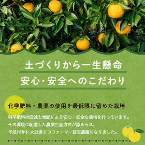 ゆずティーセット(計840ml・280ml×3本)ゆず 柚子 自家製 果汁100％ ティー はちみつ 蜂蜜 大分県産 セット【100600401】【櫛野農園】