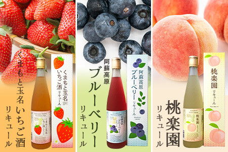 常楽酒造 リキュール 6種 飲み比べ セット ≪ ブルーベリー いちご 桃 デコポン 梨 ヨーグルト ≫ フルーツ リキュール お酒 スイート 女性 人気 ギフト 贈り物 プレゼント フルーツリキュール 063-0690
