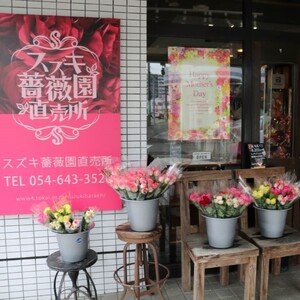 【オンライン決済限定】バラ 10 本 ミックスカラー 花束 ブーケ 朝摘み 新鮮 薔薇 花 ばら ローズ 生花 ギフト プレゼント 祝い 贈り物 贈答 記念日 静岡県 藤枝市 |    