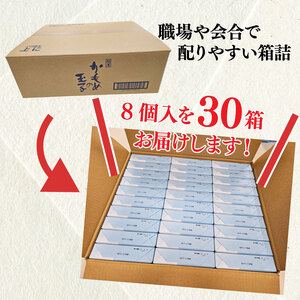 かもめの玉子ミニ 8個入 × 30箱セット 計240個 ミニ お菓子 スイーツ 洋菓子 銘菓 卵型 たまご チョコレート お茶菓子 焼き菓子 焼菓子 餡 おやつ お土産 手土産 ギフト プレゼント 贈答品 贈答 お歳暮 老舗 さいとう製菓 大船渡 岩手県