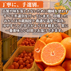 ＜先行予約受付中！2027年1月中旬から2月中旬の間に順次発送予定＞みはや(約5kg)みはや(約5kg)ハウス 樹成 完熟みかん 蜜柑 柑橘 かんきつ フルーツ 果物 くだもの【111600100】【永木農園】