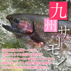 鯖 サーモン 清広食品 極み鯖 と 極み九州サーモン セット | 刺身