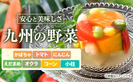 夏野菜 ゼリー寄せ 10個セット 独楽《60日以内に出荷予定(土日祝除く)》福岡県 鞍手郡 鞍手町 ひんやり 冷たい プレゼント ギフト ゼリーギフト 九州の野菜 博多あご出汁 かぼちゃ トマト にんじん えだまめ オクラ コーン 小柱 