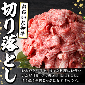おおいた和牛切り落とし(計1kg・500g×2P) 牛肉 お肉 ウデ モモ バラ 切り落とし 切り落し 切落し こま切れ すき焼き 肉じゃが おおいた和牛 和牛 霜降り【110201002】【吉野】