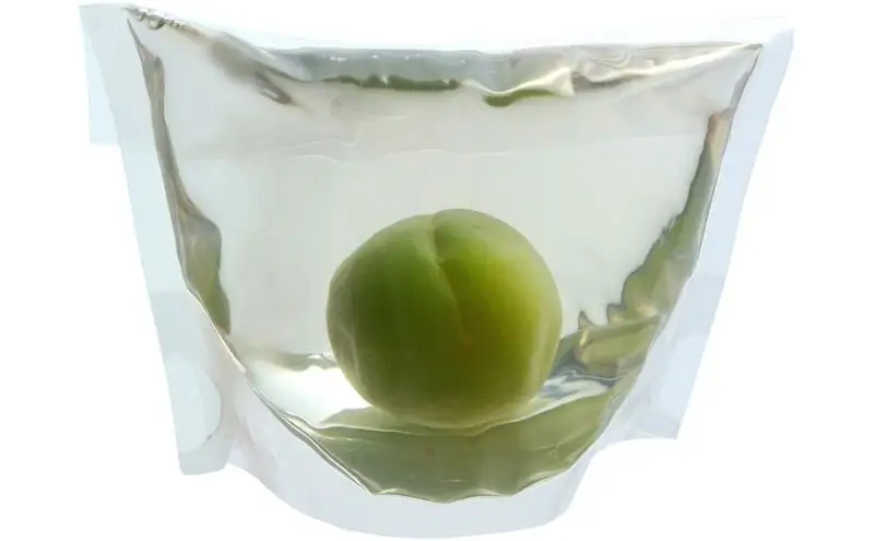 凍らせて食べる越の梅 「青梅氷り」 9個セット 