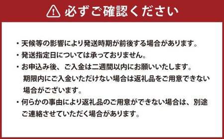 岡山匠の白桃 約3.4kg 11～12玉 犬塚農園 岡山県産 岡山白桃 ギフト【2026年6月下旬～7月下旬発送予定】【岡山県産 一宮産 みずみずしい 季節の味 旬をお届け フレッシュ 晴れの国 おかやま 果物大国 もぎたて便 犬塚農園からお届け 当日出荷 岡山県 倉敷市 おすすめ 人気】