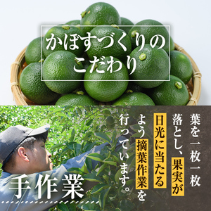 ＜先行予約受付中！2026年8月下旬以降順次発送予定＞おもとの丘のプレミアムかぼす(20～24個)かんきつ 柑橘 期間限定 【111300500】【未来農林】