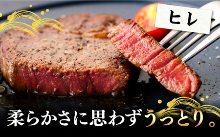 【全2回定期便】A4・A5ランク サーロインステーキ 200g×2枚 ヒレステーキ 120g×1枚《壱岐市》【壱岐市ふるさと商社】 [JAA035]
