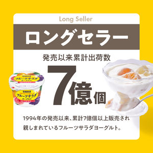 北海道乳業フルーツサラダヨーグルト 24個 人気 ヨーグルト _HD135-001