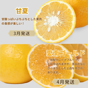 【定期便4回】 訳あり 季節の柑橘4種 各5kg 合計 20kg ポンカン 不知火 甘夏 河内晩柑   柑橘 みかん 果物 フルーツ ゼリー アイス ジュース 定期便  フルーツ定期便 和製 グレープフルーツ 夏文旦 ぽんかん 旬の果物 旬のフルーツ 愛南町 愛媛県 愛南フルーツ