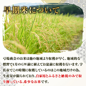＜先行予約受付中！2026年8月下旬以降順次発送予定＞宇佐市院内産コシヒカリ(計10kg・5kg×2袋) 早期米 米 お米 真空パック白米 精米 国産 限定 ごはん ご飯 白飯 ゴハン【111000101】【弓場商会】